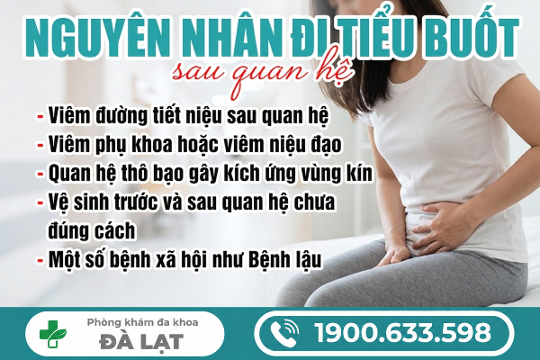 Hình ảnh minh họa